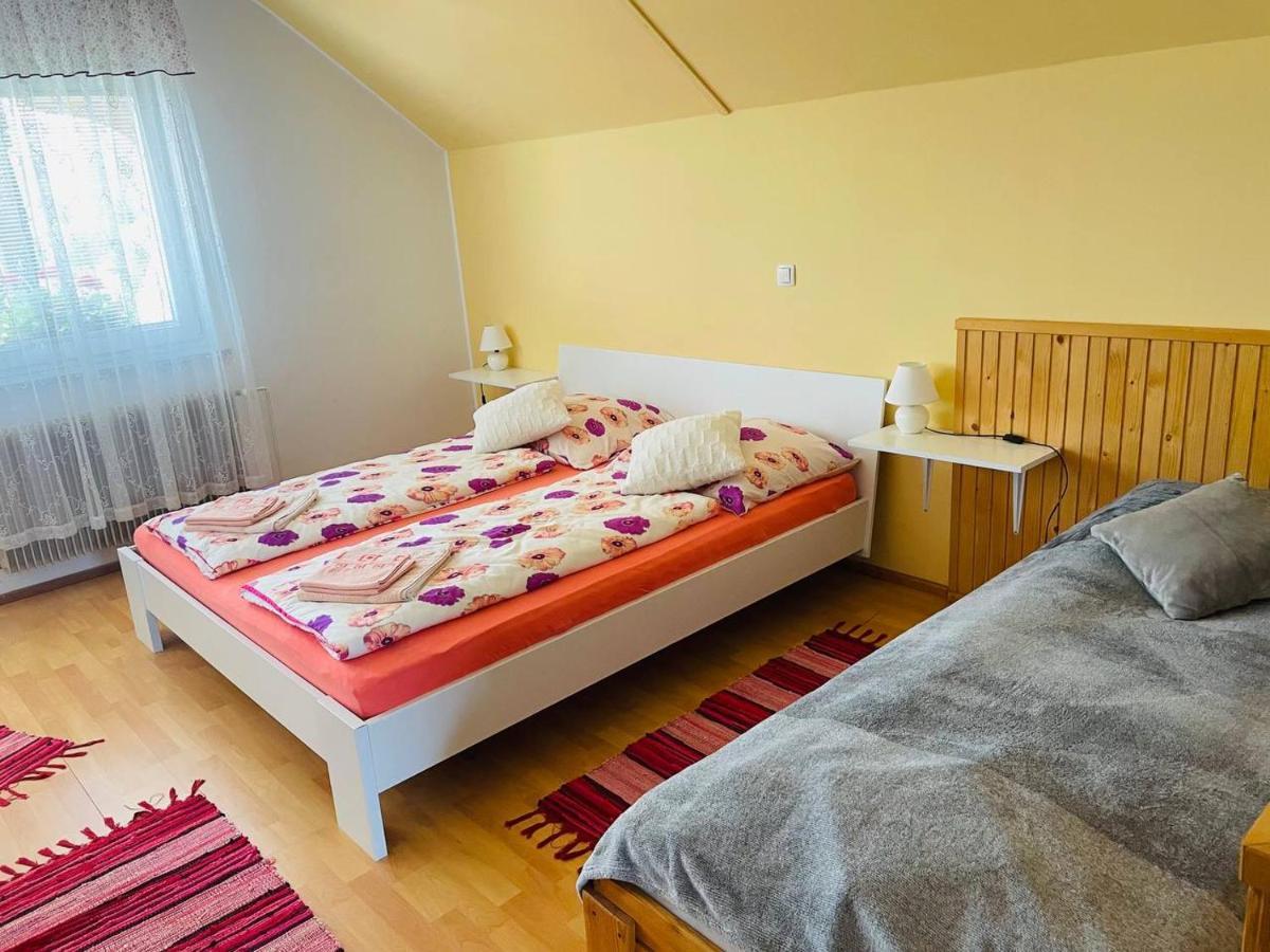 Apartma Pavla Spodnje Gorje Extérieur photo